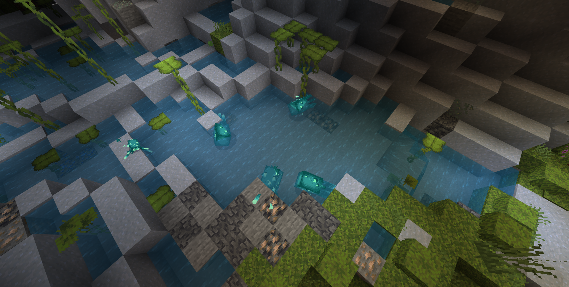 An image from the squid remodeled project